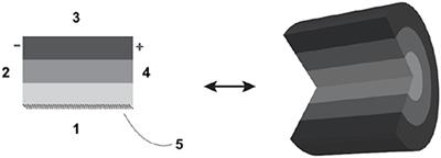 Knowledge Representation for Multi-Scale Physiology Route Modeling